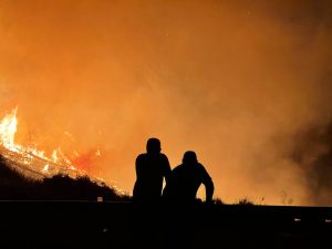 Understanding post-bushfire trauma to deliver help where it’s needed