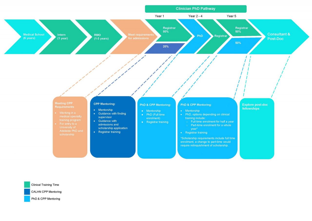 Clinician PhD pathway - CALHN - Central Adelaide Local Health Network