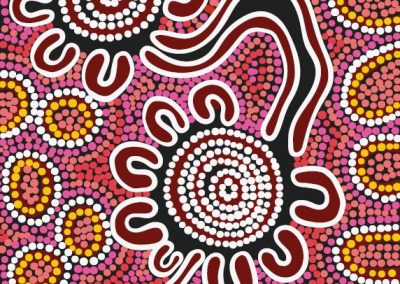 Aboriginal artwork by Audrey Brumby