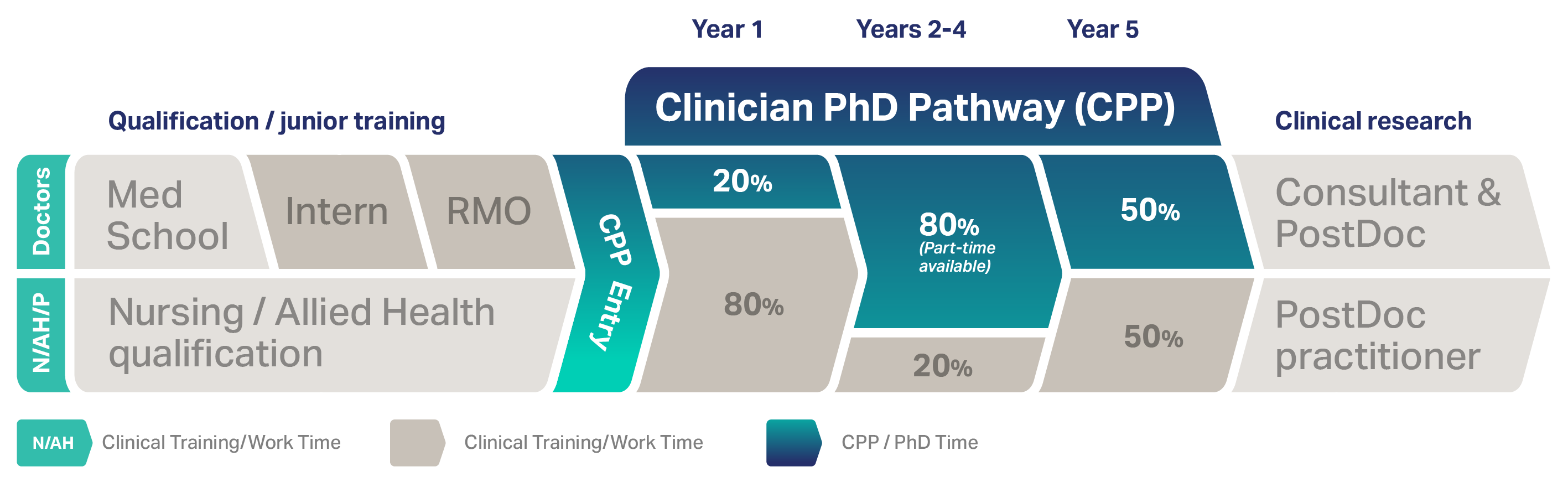 Clinician PhD Pathway timeline